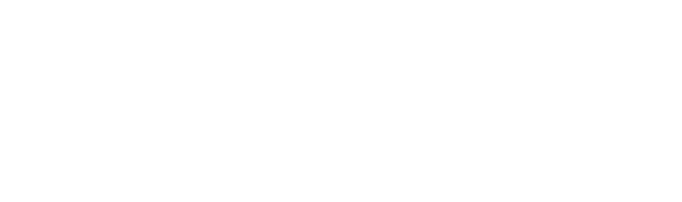 MUSEUM ACCESS